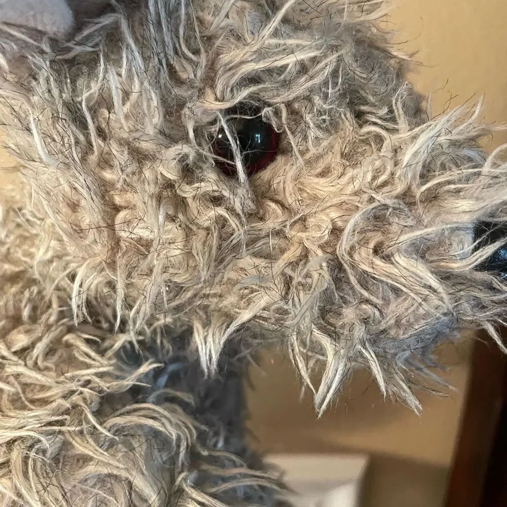 TY Rag Dog 2000 Plush Mutt Dog - Picture 5 of 13